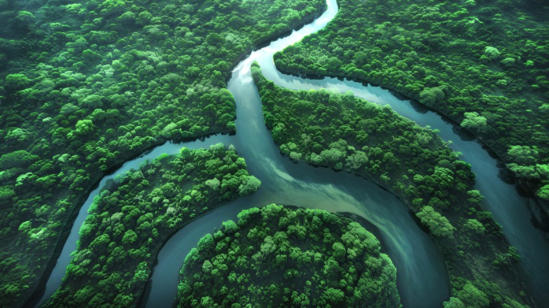 Sürdürülebilirlik